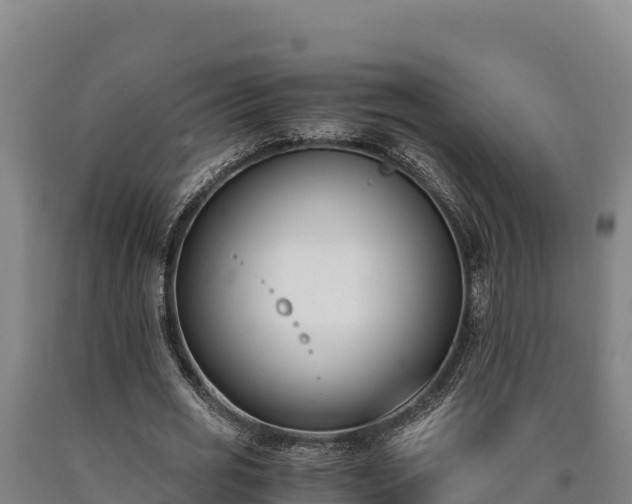 X0000090740725200707271423