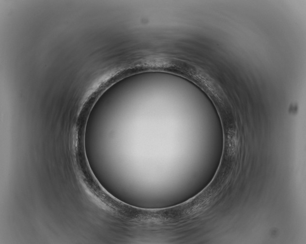 X0000090740726200707271423