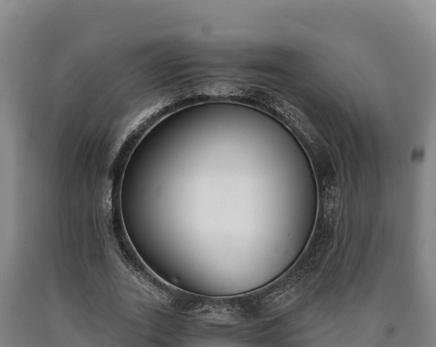 X0000090740727200707271423