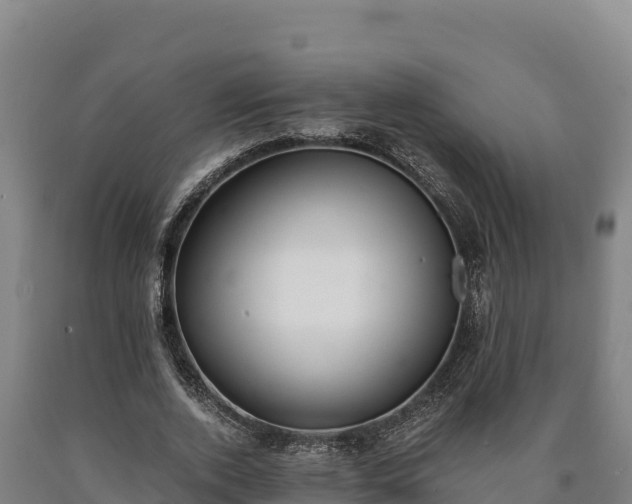 X0000090740728200707271423
