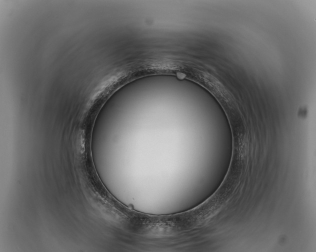 X0000090740731200707271423