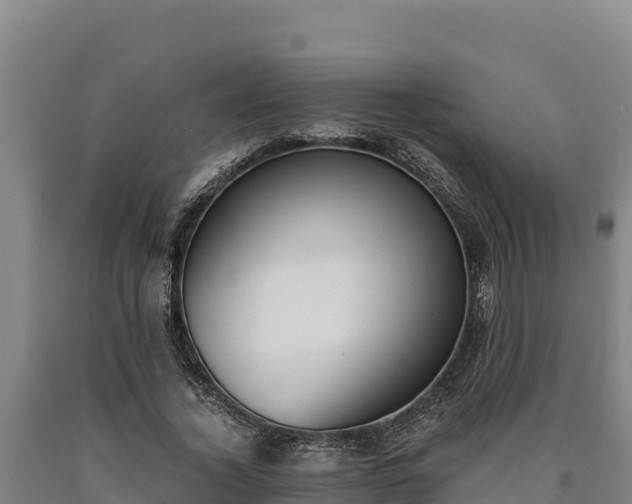 X0000090740732200707271423