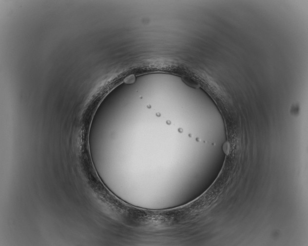 X0000090740736200707271423