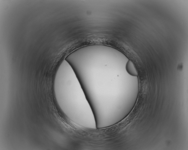 X0000090740737200707271423