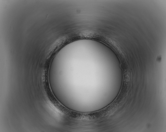 X0000090740738200707271423