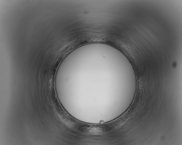 X0000090740741200707271424