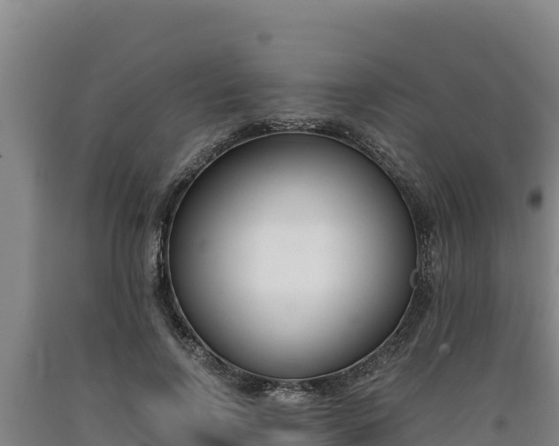 X0000090740742200707271424