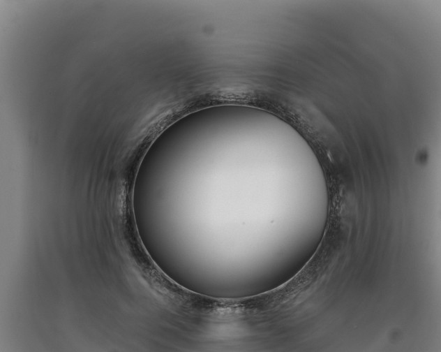 X0000090740744200707271424
