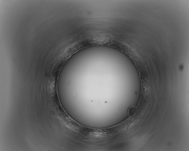 X0000090740745200707271424