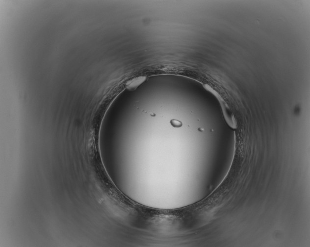 X0000090740748200707271424