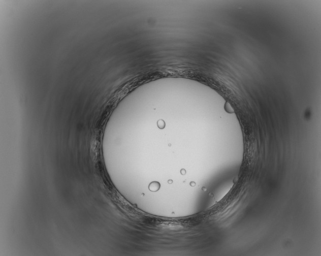 X0000090740749200707271424