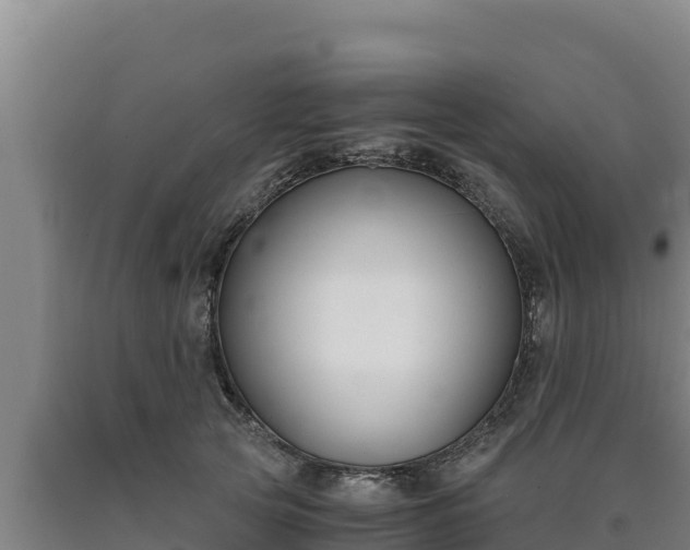 X0000090740753200707271424