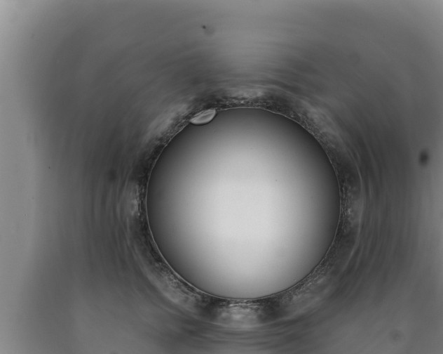 X0000090740758200707271424