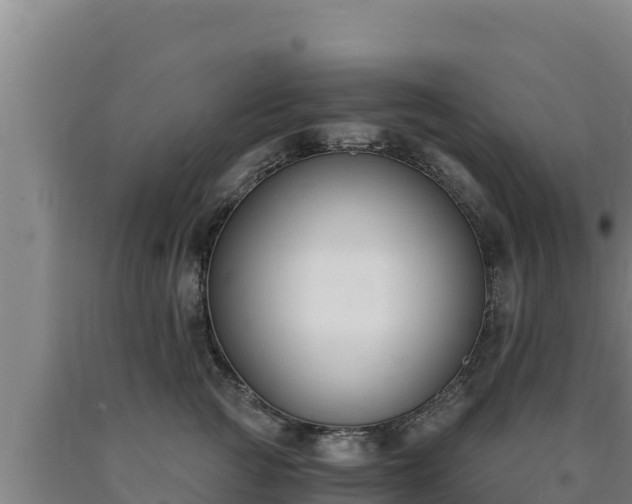 X0000090740761200707271424
