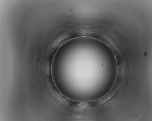 X0000090740762200707271424
