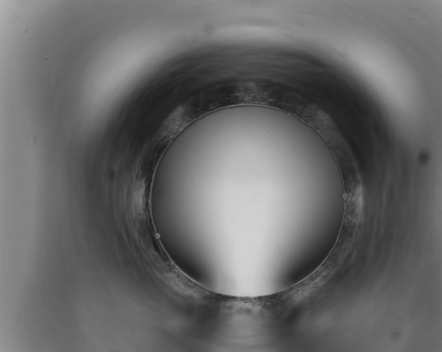 X0000090740765200707271424