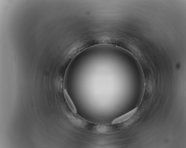 X0000090740766200707271424