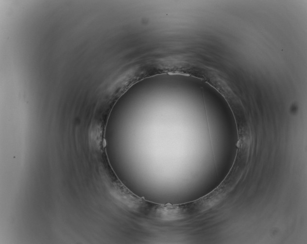 X0000090740767200707271424