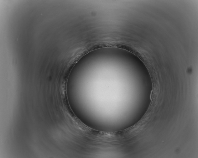 X0000090740768200707271424