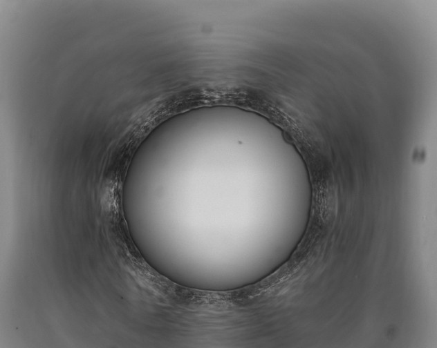 X0000090740770200707271423