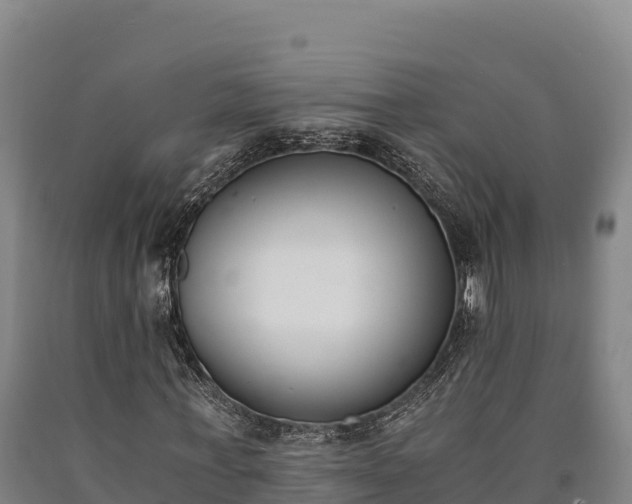 X0000090740771200707271423