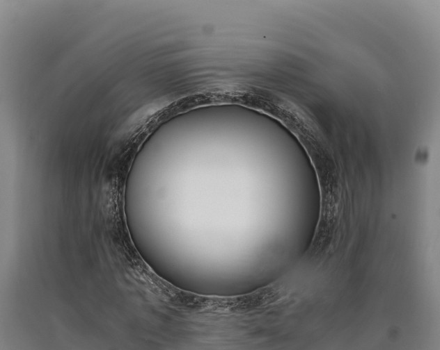 X0000090740773200707271423