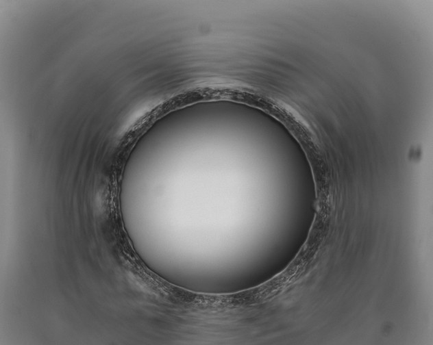 X0000090740775200707271423