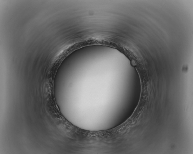 X0000090740776200707271423