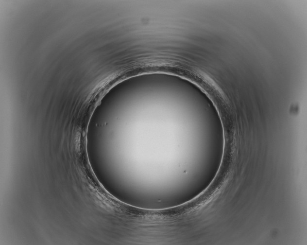X0000090740777200707271423