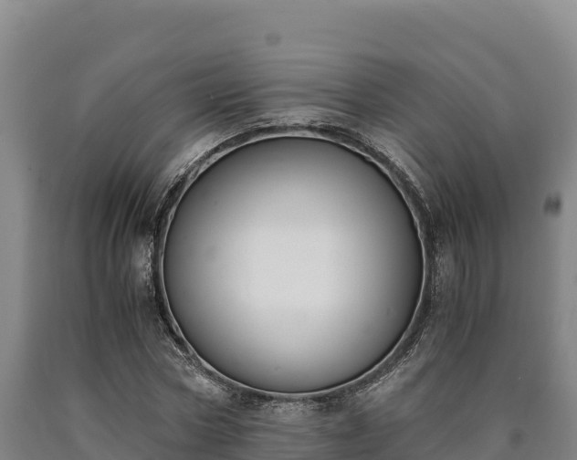 X0000090740778200707271423