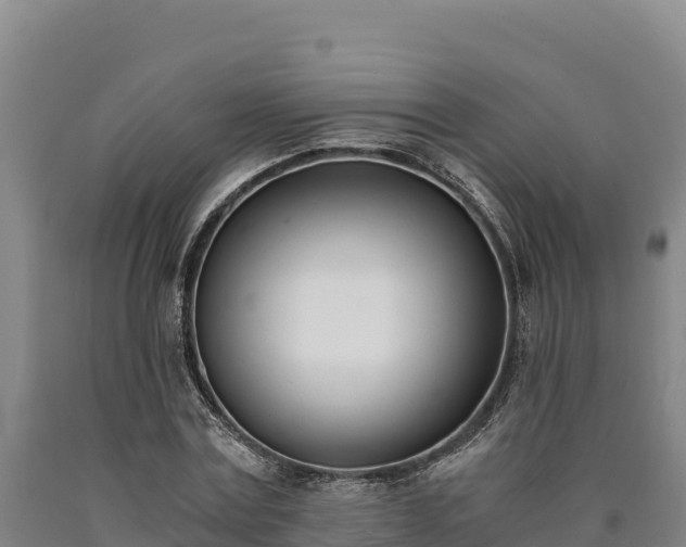 X0000090740779200707271423