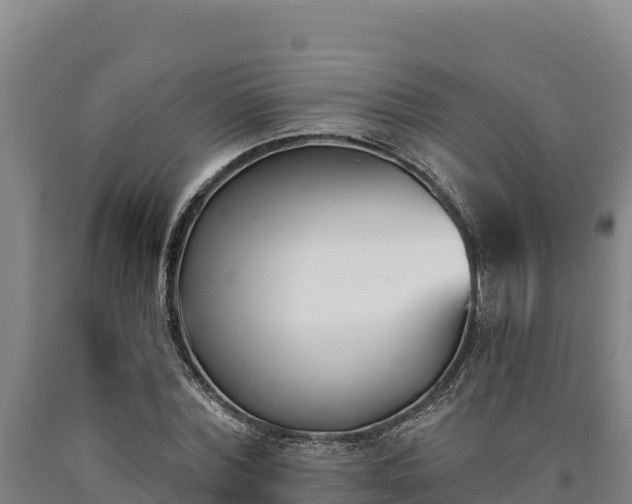 X0000090740780200707271423