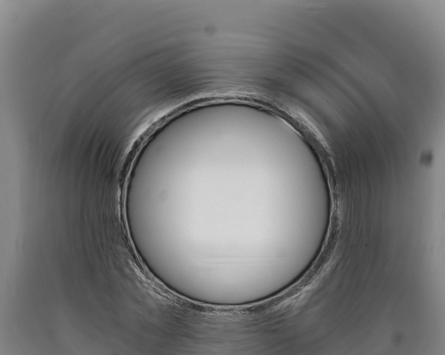 X0000090740781200707271423