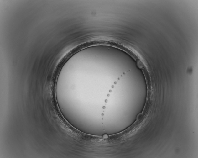 X0000090740783200707271423