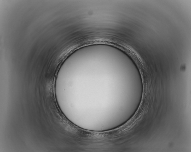 X0000090740785200707271423