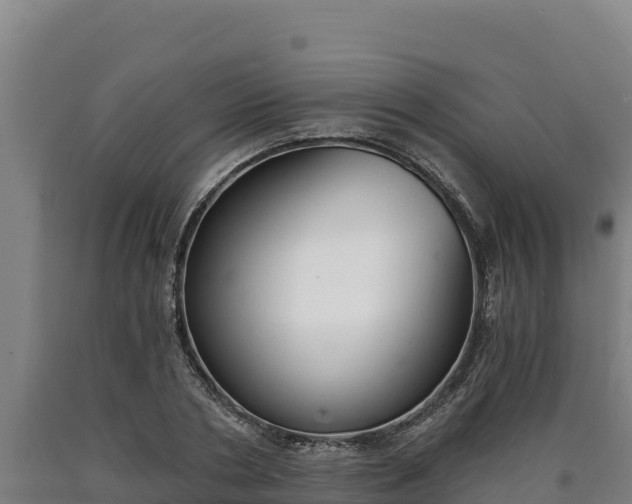 X0000090740786200707271423