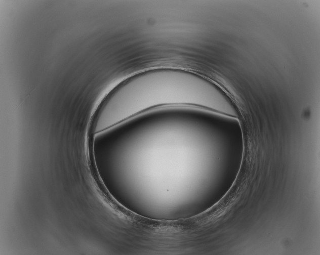 X0000090740788200707271423