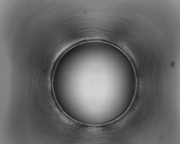 X0000090740789200707271423