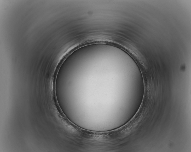X0000090740790200707271423