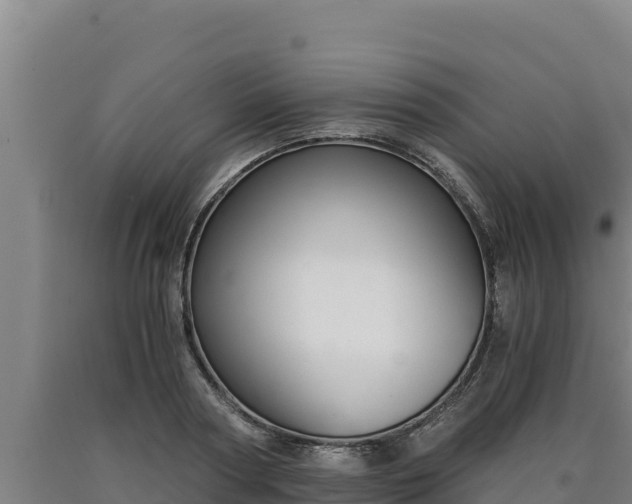 X0000090740794200707271423