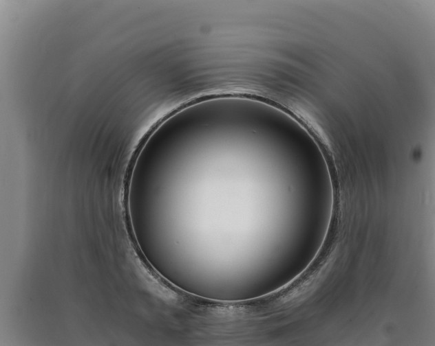 X0000090740797200707271423