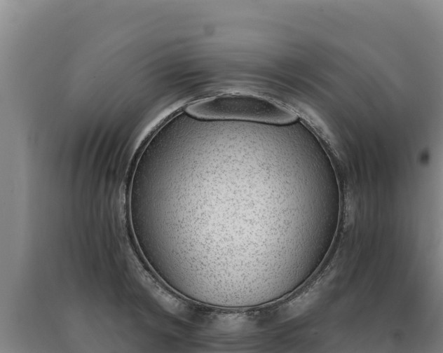 X0000090740798200707271423