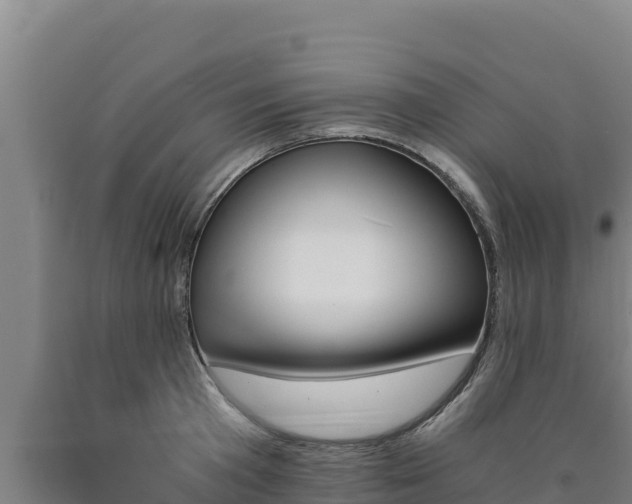 X0000090740801200707271423