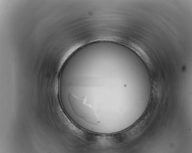 X0000090740804200707271423