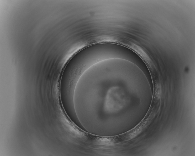 X0000090740806200707271423