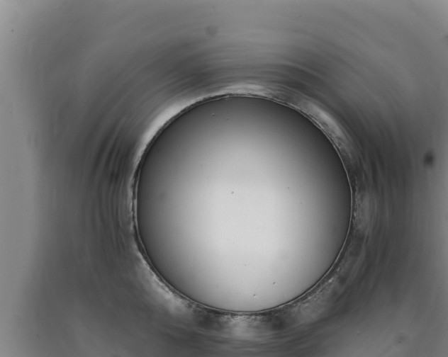 X0000090740808200707271423