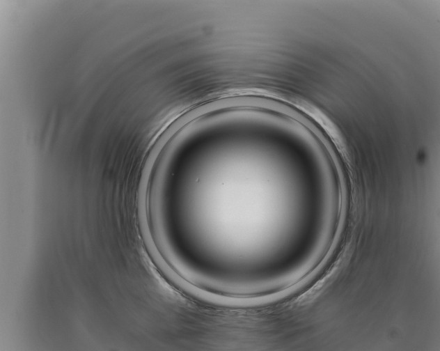 X0000090740809200707271423
