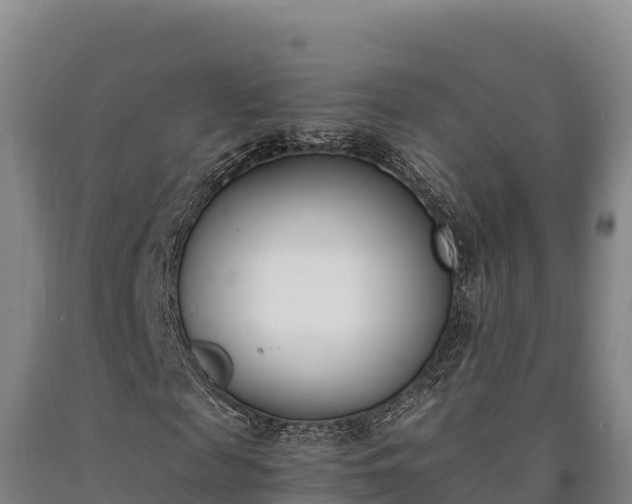 X0000090740817200707271422