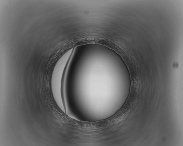 X0000090740818200707271422