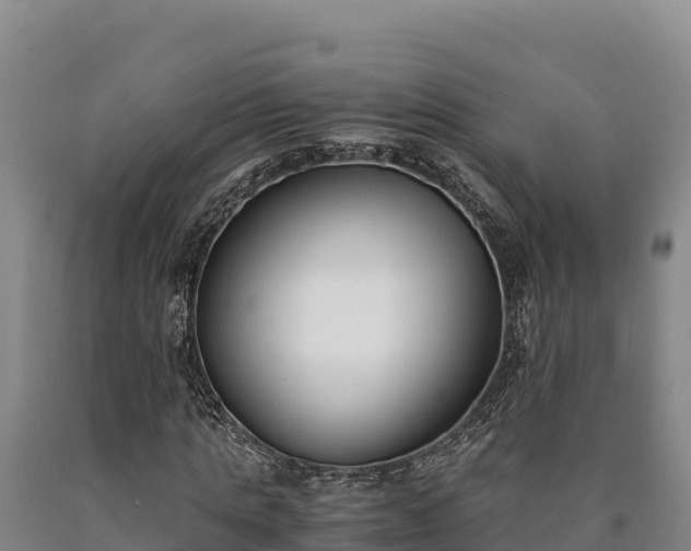 X0000090740821200707271422